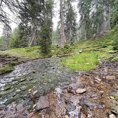 Platzfaerberhaus Appartement