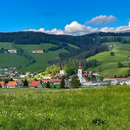 Platzfaerberhaus Apartman Obdach