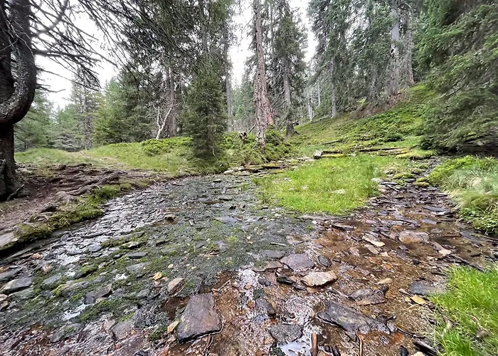 Platzfaerberhaus 公寓