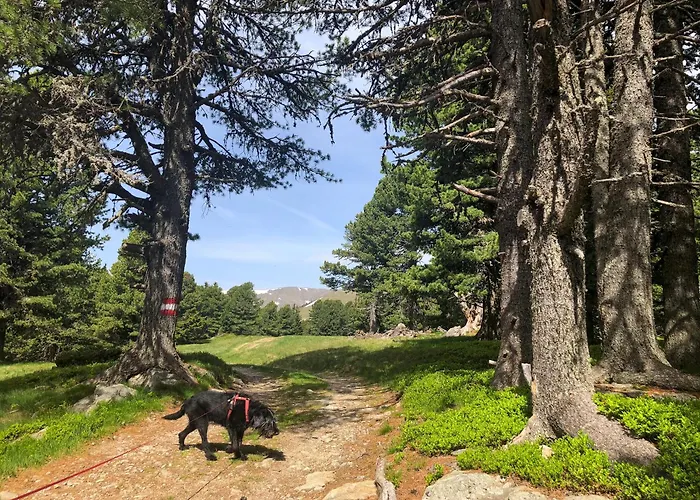 Platzfaerberhaus 公寓 *